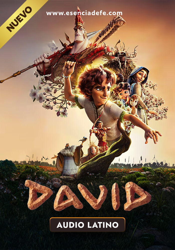 Película David